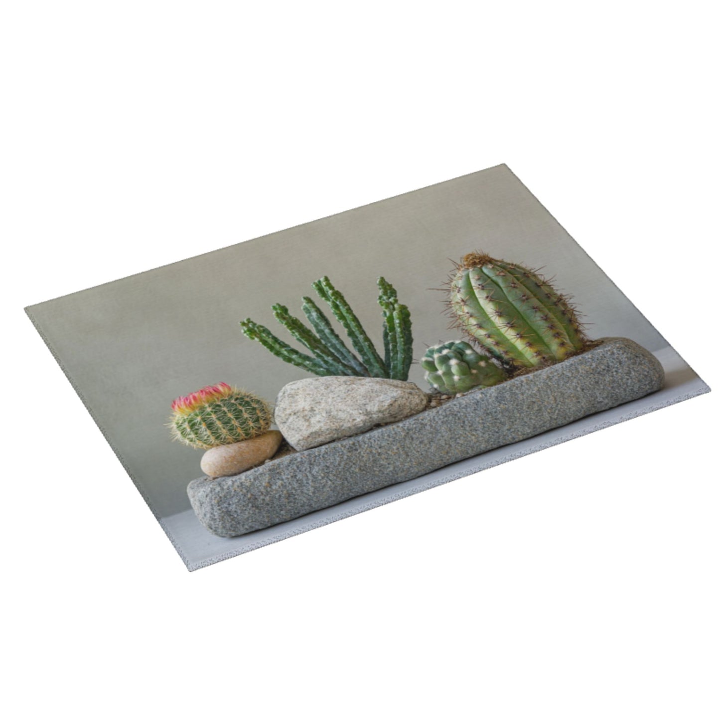 Large Succulent Cactus Stone Scene Kitchen Drying Mat, Absorbent Non-Slip Counter Protector